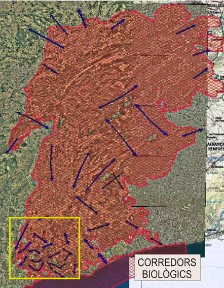 Plànol dels corredors de connexió entre els espais oberts de la conca del Gaià