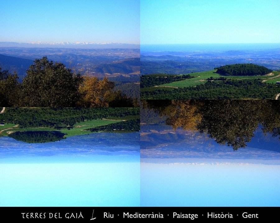 Fullet de campanya de les Terres del Gaià: composició de dues vistes de la conca, cada una repetida i reflectida verticalment, sota una franja negra amb el nom de la campanya i les cinc paraules Riu, Mediterrània, Paisatge, Història i Gent