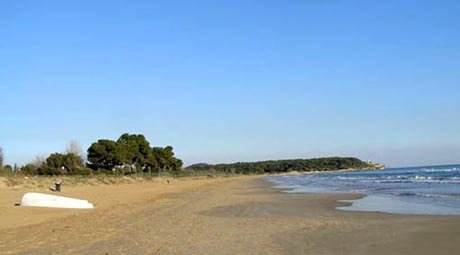 La Platja Llarga de Tarragona, amb el bosc de la Marquesa al darrere