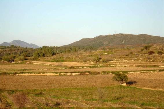 Paisatge agrícola del tram mitjà del Gaià, amb els conreus escalonats i el mosaic de camps i bosc